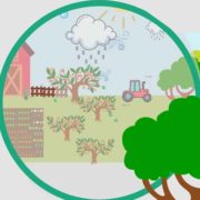 Nota comunicació Pla Estratègic de Desenvolupament Agroecològic Sostenible