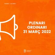 Plenari Ordinari - 31 de març de 2022