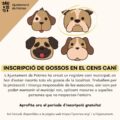 Inscrició gossos en el cens caní