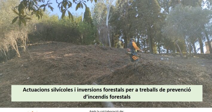 ajudes forestals 2026
